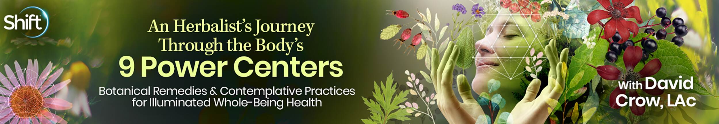An Herbalist’s Journey Through the Body’s 9 Power Centers